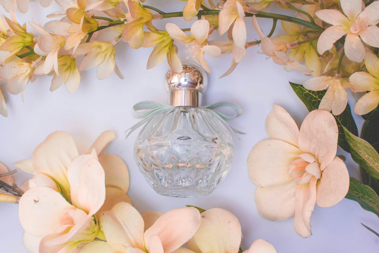 Curated lineup of fragrance bottles with white botanicals